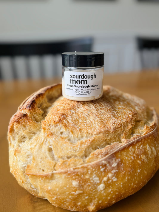 Fresh Sourdough Starter